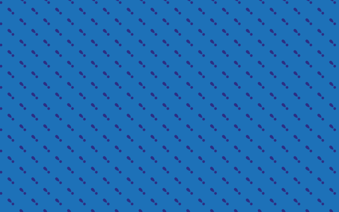 Answers – Antworten