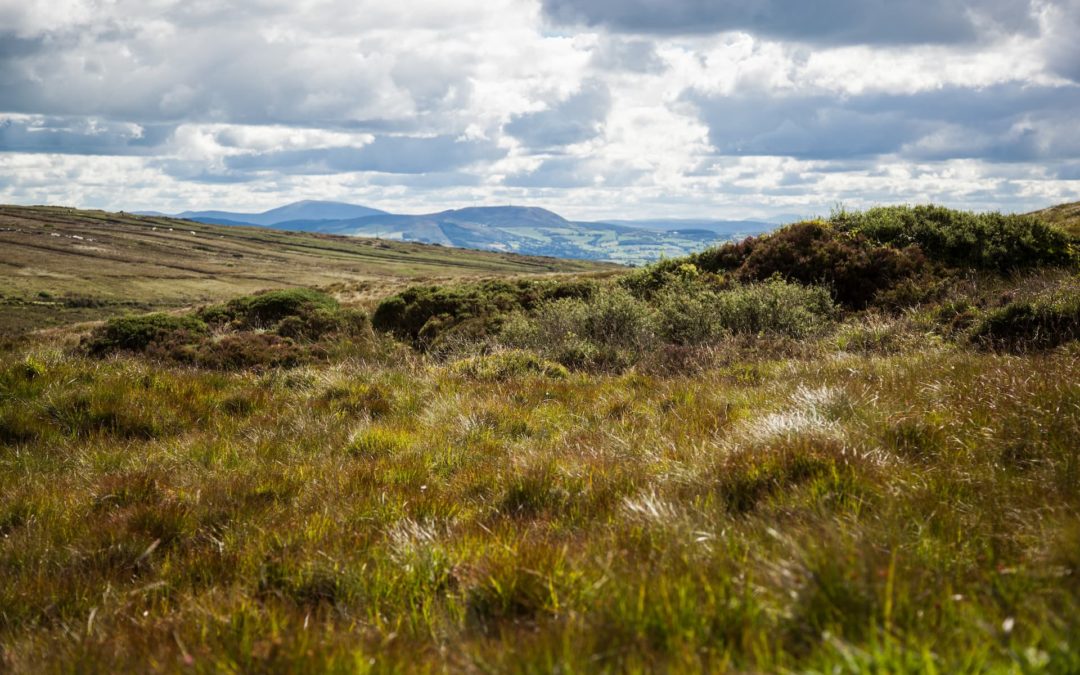 Kleine Verspätung / Small delay