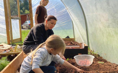 Gartenarbeit / Home Gardening