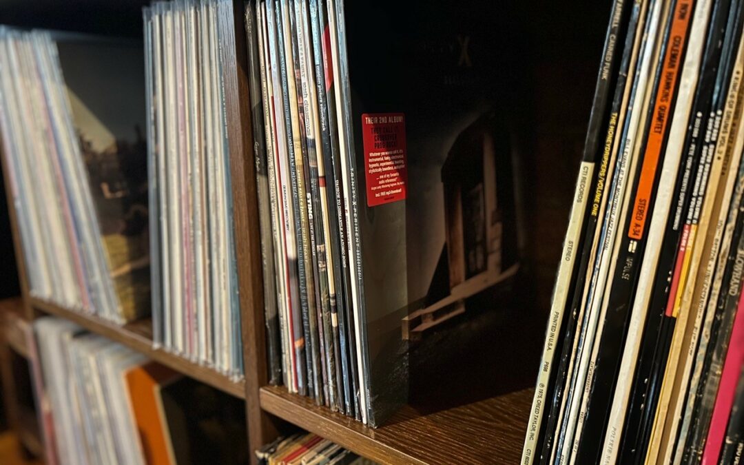 Angelo’s Vinyl Stories #70 – Vinyl Protection