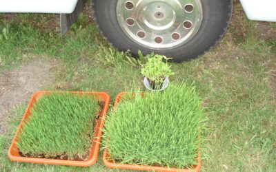 Story Time – Episode #54 – Health